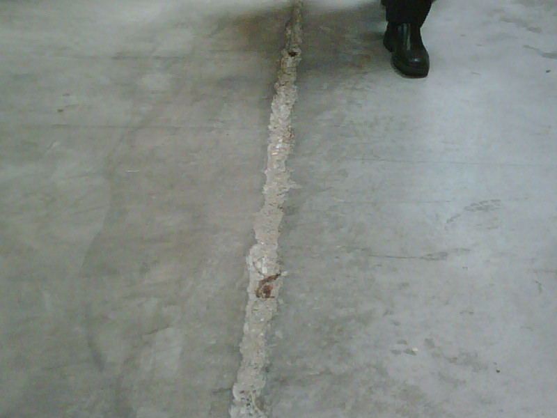 Loseta de hormigón deteriorada